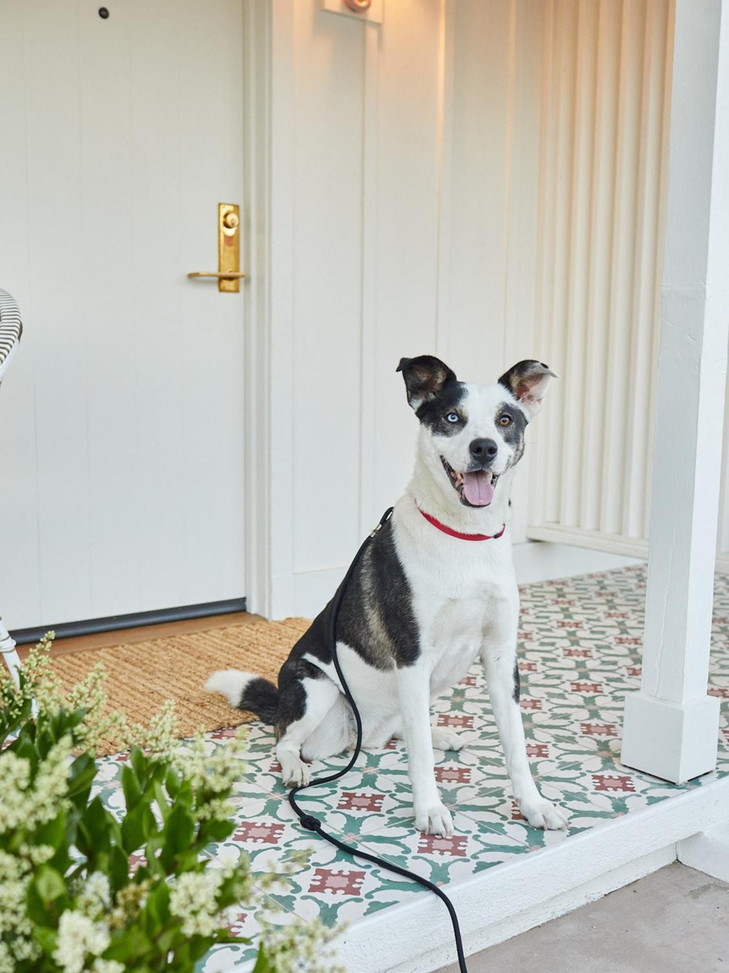 Farmhouse Paso Paso Robles Ngoại thất bức ảnh
